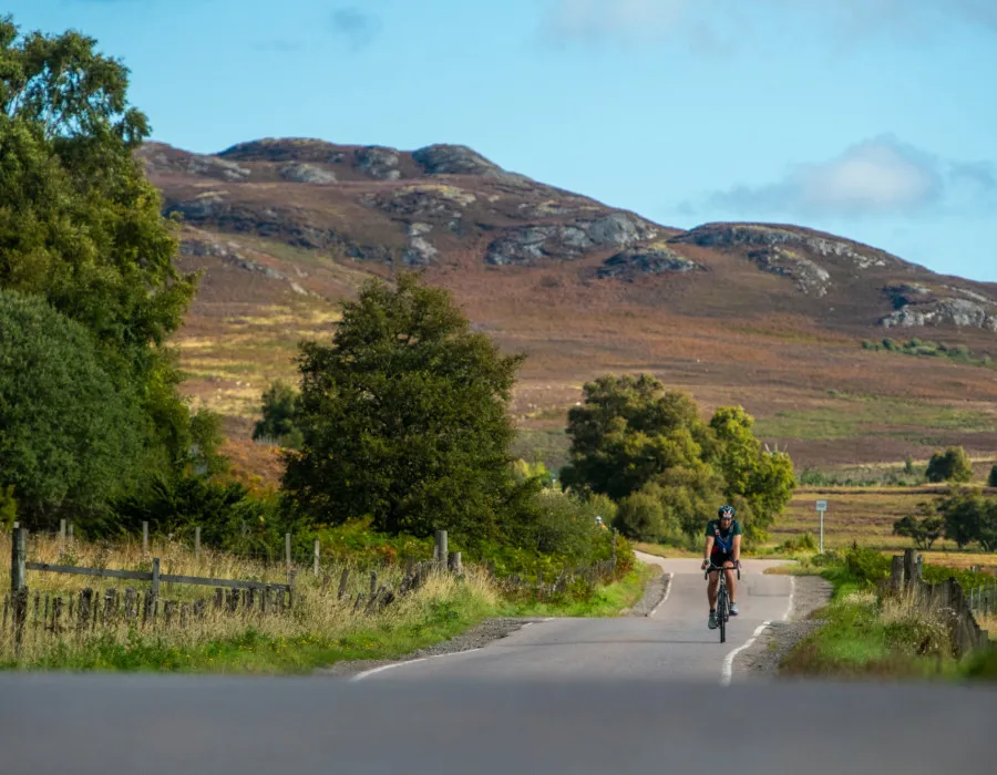 Cyclist riding along road with greenery surrounding them